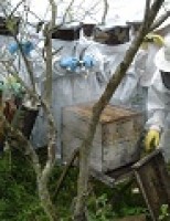 Agricultores do semiárido pernambucano recebem kit para apicultura