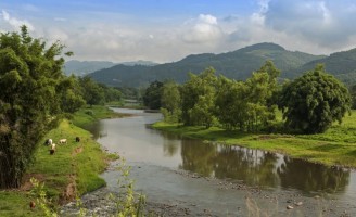 A valorização da propriedade passa pela preservação das paisagens rurais