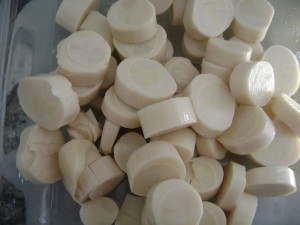 palmito 2