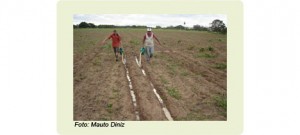 Manipueira__dentro__2012138436