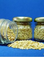 As abelhas podem ser alimentadas com alimento artificial à base de soja