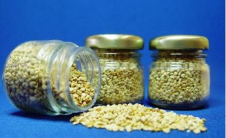 As abelhas podem ser alimentadas com alimento artificial à base de soja