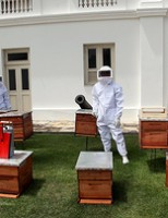 Agricultores do sertão pernambucano recebem kits para produzir mel