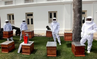 Agricultores do sertão pernambucano recebem kits para produzir mel