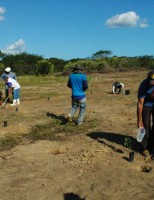 Projeto de recuperação da caatinga nordestina já plantou mais de 5 mil árvores