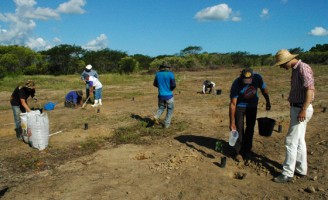 Projeto de recuperação da caatinga nordestina já plantou mais de 5 mil árvores