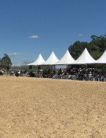 Abertas as inscrições para o I Congresso de Equinocultura da Universidade do Cavalo