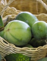 Semente de maracujá  com adaptação especial para o cerrado