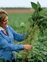 Pesquisa identifica crescimento da participação feminina no agronegócio brasileiro
