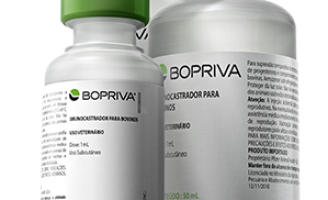 Vacina para castração de bovinos vem revolucionando o mercado brasileiro