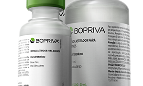 <h2><a href="https://nordesterural.com.br/vacina-para-castracao-de-bovinos-vem-revolucionando-o-mercado-brasileiro/">Vacina para castra&ccedil;&atilde;o de bovinos vem revolucionando o mercado brasileiro</a></h2>A vacina substitui o m&eacute;todo tradicional &eacute; tem ganhado adeptos pela pela seguran&ccedil;a do procedimento. O nome do produto &eacute; a Bopriva - vacina injet&aacute;vel que age no sistema imunol&oacute;gico