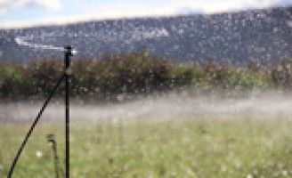 Um balanço da produção nos perímetros irrigados da do Vale dos São Francisco