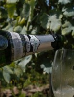 O Vinho e o doce <br><br>Por Fernando Tony