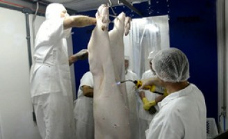 O produtor já pode adquirir o abatedouro móvel para abater os animais de sua produção
