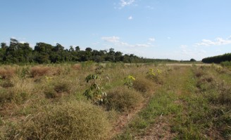Preparando o produtor rural para enfrentar os períodos de estiagem