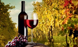 O vinho além do óbvio! <br><br>  Fernando Tony