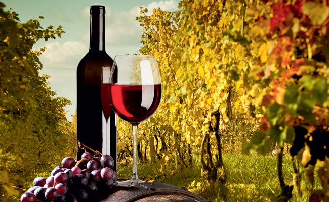 O vinho além do óbvio! <br><br>  Fernando Tony