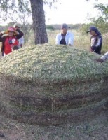 A criação de um banco de proteína na fazenda