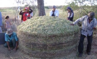 A criação de um banco de proteína na fazenda