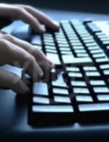 O computador pode ajudar na criação de bovinos de corte