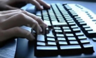 O computador pode ajudar na criação de bovinos de corte