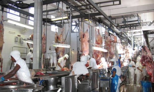 <h2><a href="https://nordesterural.com.br/menos-burocracia-para-o-agricultor-vender-produtos-em-outros-estados/">Menos burocracia para o agricultor vender produtos em outros estados</a></h2>Para reduzir a burocracia aos pequenos produtores que pretendem vender seus produtos de origem animal a outros estados, o Mapa descentralizou as a&ccedil;&otilde;es de ades&atilde;o ao Sistema Brasileiro de Inspe&ccedil;&atilde;o