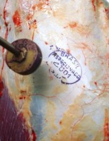 Brasil vai começar a exportar carne bovina para os Estados Unidos