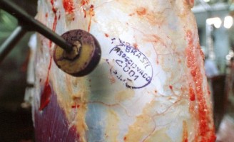 Brasil vai começar a exportar carne bovina para os Estados Unidos