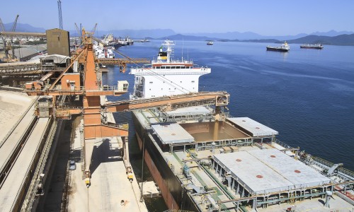 <h2><a href="https://nordesterural.com.br/agronegocio-mais-uma-vez-se-destaca-nas-exportacoes-brasileira/">Agroneg&oacute;cio mais uma vez se destaca nas exporta&ccedil;&otilde;es brasileira</a></h2>No m&ecirc;s passado o Brasil conseguiu exporta US$ 9,13 bi em produtos agropecu&aacute;rios como soja, carnes, produtos florestais, complexo sucroalcooleiro e caf&eacute;.&nbsp; Assim como houve um bom desempenho das exporta&ccedil;&otilde;es