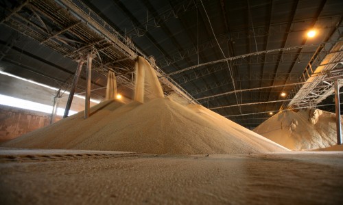 Cinquenta e três por cento de produtos do agronegócio foram vendidos para 5 países