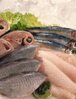 Cuidados com o manejo correto na pesca e conservação garantem a qualidade do peixe