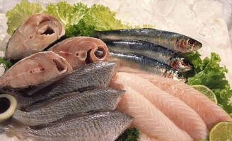 Cuidados com o manejo correto na pesca e conservação garantem a qualidade do peixe