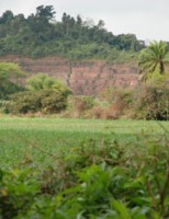 Pesquisadores orientam um melhor aproveitamento dos recursos naturais na propriedade