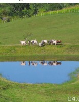 Um espelho d’agua num paraíso verde