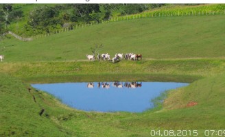Um espelho d’agua num paraíso verde