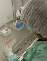 Suspensas as restrições para que laboratórios nacionais possam produzir vacina contra aftosa