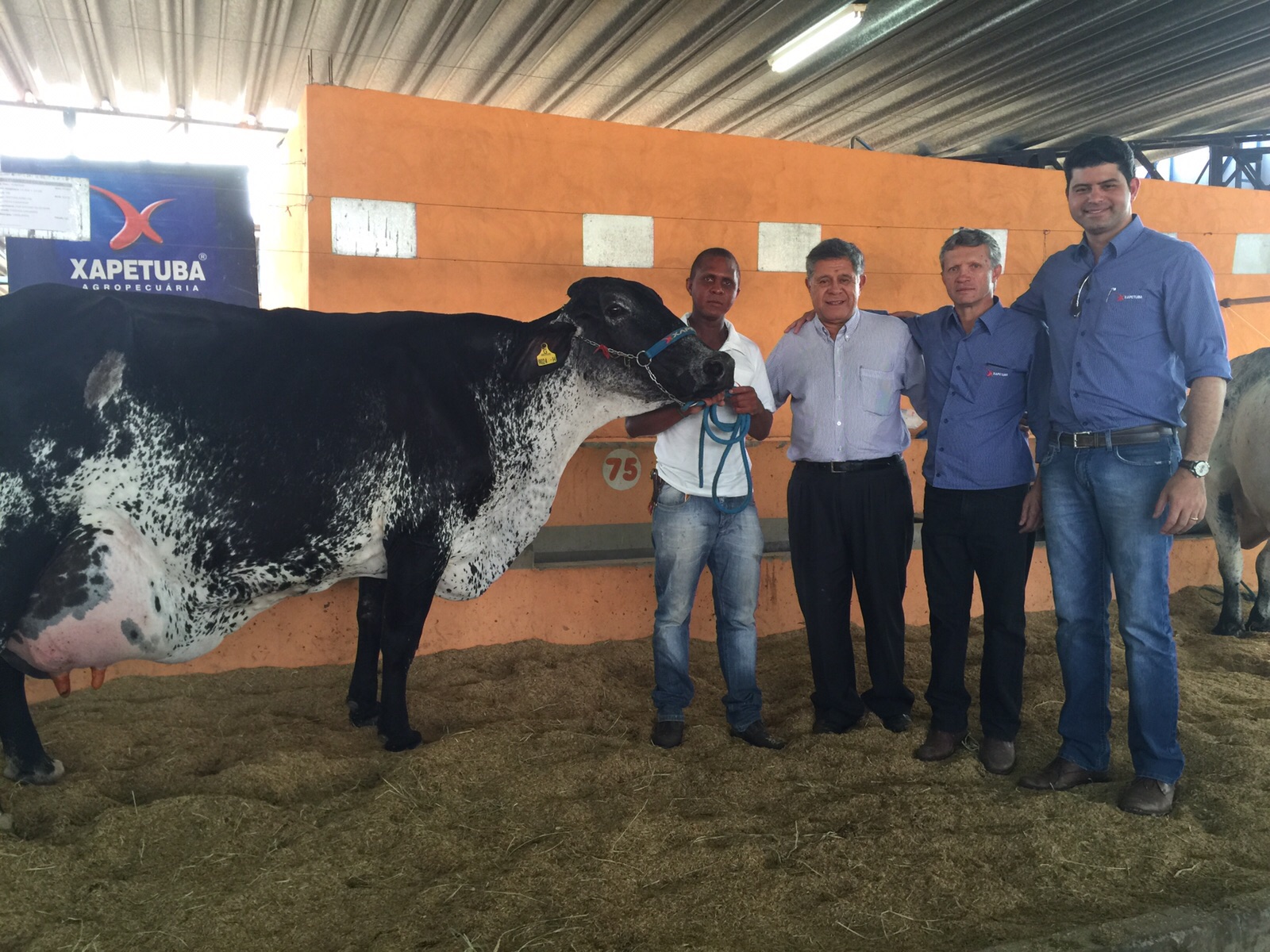Raça Girolando do Brasil tem vaca recordista mundial