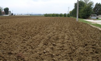 A importância do preparo do solo para cultivo de grãos no semiárido