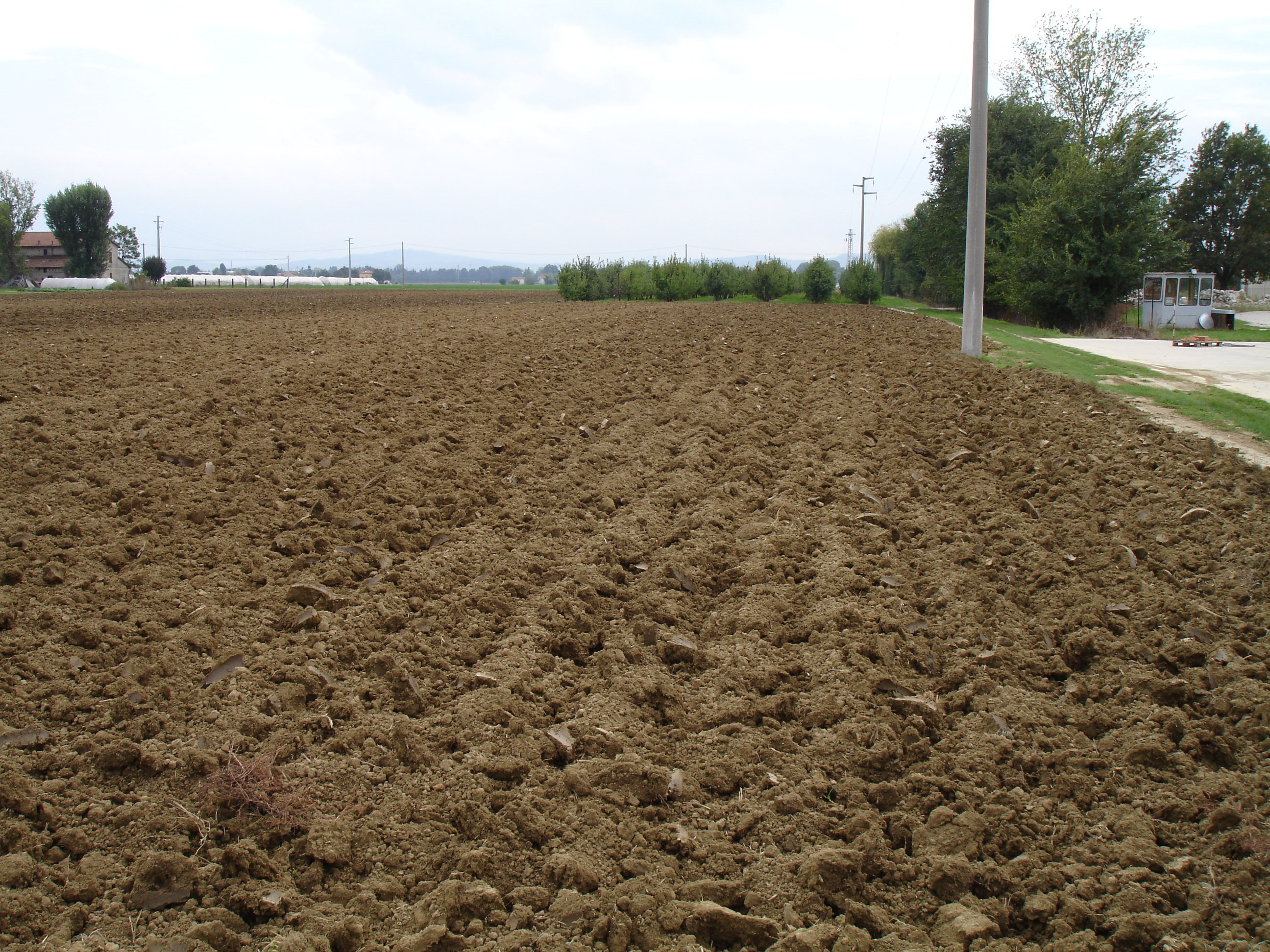 A Importância Do Preparo Do Solo Para Cultivo De Grãos No Semiárido Nordeste Rural 2978