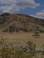 Cuidados com o manejo das terras no semiárido pode evitar os riscos de desertificação