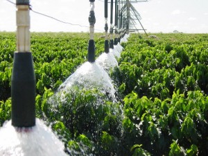 irrigação flutuante