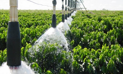 Irrigação no Vale do São Francisco vai ter sistema de captação flutuante