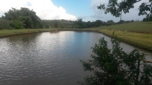 viveiro de peixe