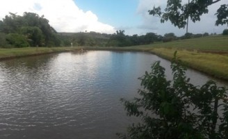 Orientações de como preparar viveiros escavados para a criação de peixes