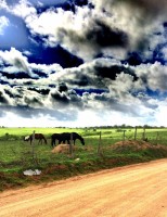 Os caminhos de Alagoas