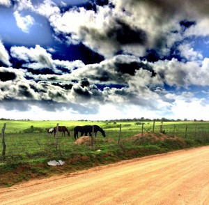 céu de alagoas