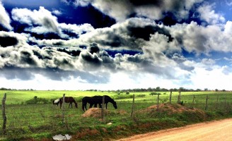 Os caminhos de Alagoas