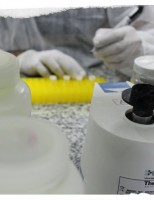 Mais produtividade do gado com investimento em inseminação artificial