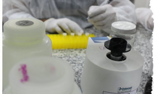 <h2><a href="https://nordesterural.com.br/mais-produtividade-do-gado-com-investimento-em-inseminacao-artificial/">Mais produtividade do gado com investimento em insemina&ccedil;&atilde;o artificial</a></h2>Na agropecu&aacute;ria, a insemina&ccedil;&atilde;o artificial, com o uso do s&ecirc;men de touros provados, &eacute; uma &oacute;tima alternativa para o criador que pretende ver seus neg&oacute;cios crescerem. &ldquo;O pecuarista tem buscado