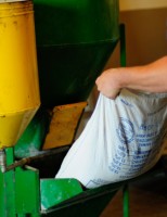 Aplicação de soluções minerais na dieta do rebanho favorece qualidade do leite
